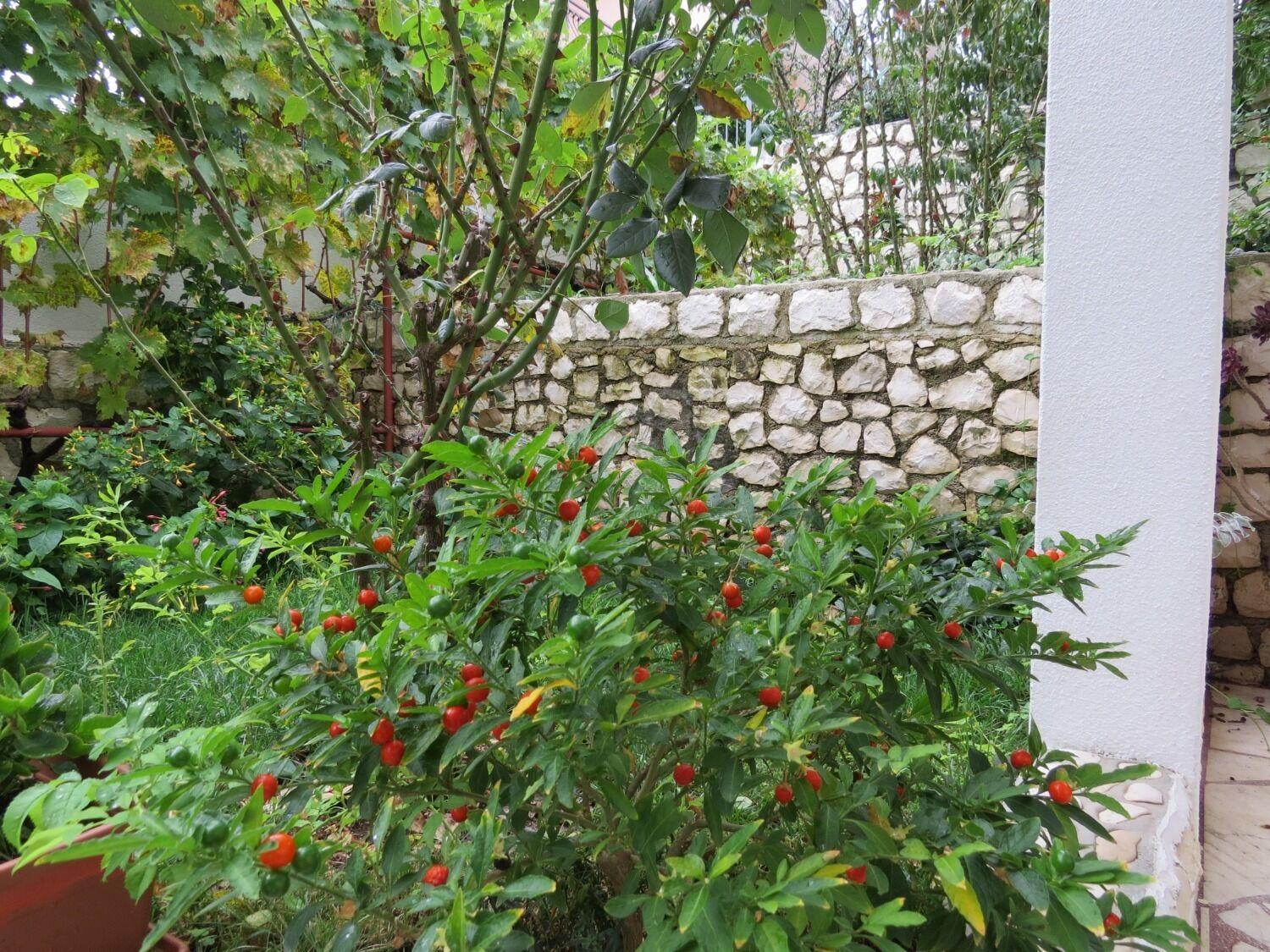 Apartment Bubi Trogir Dış mekan fotoğraf